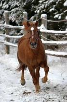 Kuvaaja Tanja Ukkonen.