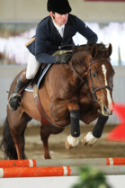 José Bernardes & Paulien Nld 