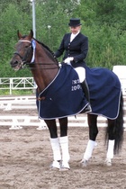 Luoka 7B voittaja Taina Rajala ja ori Kiahan Renard